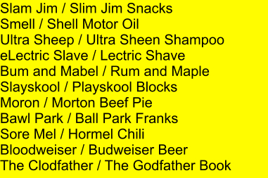 Slam Jim / Slim Jim Snacks Smell / Shell Motor Oil Ultra Sheep / Ultra Sheen Shampoo eLectric Slave / Lectric Shave Bum and Mabel / Rum and Maple Slayskool / Playskool Blocks Moron / Morton Beef Pie Bawl Park / Ball Park Franks Sore Mel / Hormel Chili Bloodweiser / Budweiser Beer The Clodfather / The Godfather Book